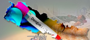२६ सय भन्दा बढीमा डेङ्गु पुष्टि, सबैभन्दा बढी गण्डकी प्रदेशमा