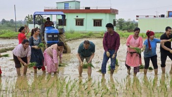 बुटवल मोतीपुरमा रोपाईँ महोत्सव  (तस्विरहरु)