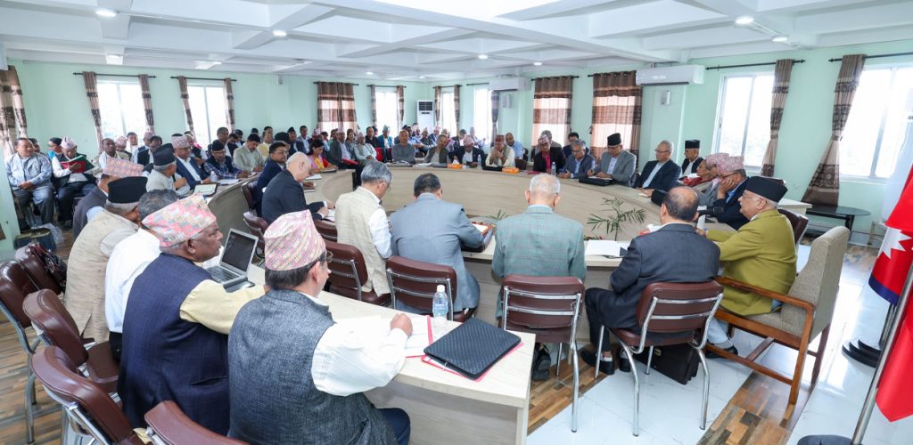 विद्या भण्डारीको सदस्यता ‘पेन्डिङ’, विधान संशोधन अनुमोदन