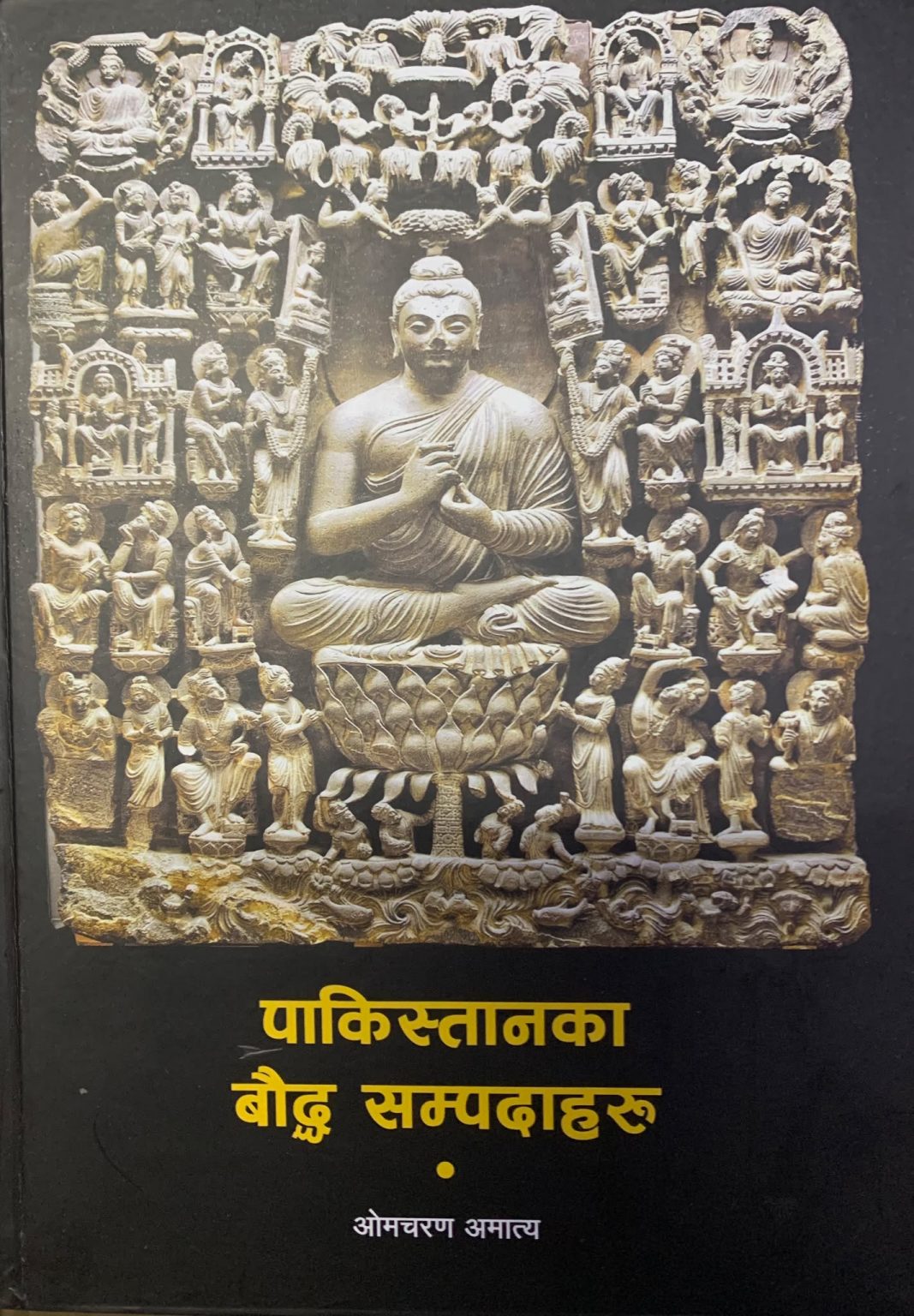 Pakistan-Buddha-case-2-1067x1536-1752076411.jpg